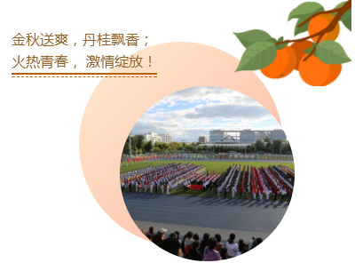 1538969347(1).png