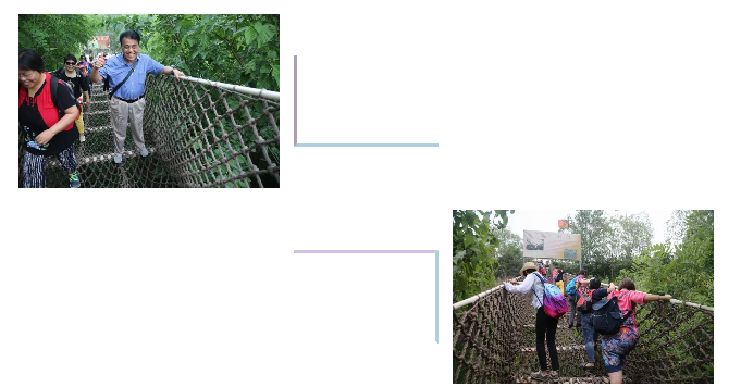 1529378812(1).png